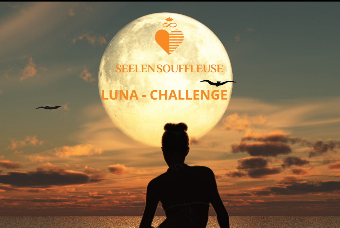 Luna – Challenge 2024