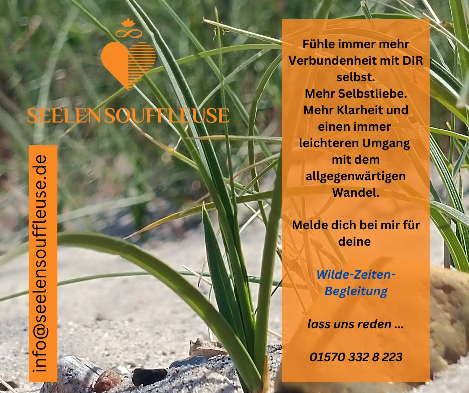 Wilde-Zeiten-Begleitung